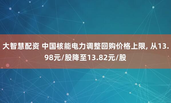 大智慧配资 中国核能电力调整回购价格上限, 从13.98元/股降至13.82元/股